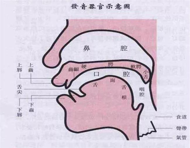 小孩發(fā)音不清楚的原因是什么？